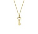 Huiscollectie 4018532 [kleur_algemeen:name] necklace with pendant
