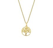 House collection 4018546 Necklace Yellow gold Tree of life 1.0 mm 41 + 4 cm
