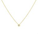 Huiscollectie 4019178 [kleur_algemeen:name] necklace with pendant