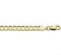 Huiscollectie 4017007 [kleur_algemeen:name] necklace with pendant