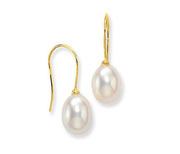 Glow Gold Earrings with Freshwater Pearl 208.0058.00
