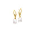 House Collection Earrings Pearl Yellow Gold Shiny 25 mm x 7.5 mm