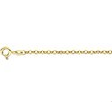 House collection Bracelet Gold Jasseron 2.5 mm 13 cm