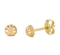 Gold Collection 206.0460.04 Ear studs with CZ