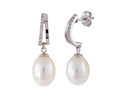 Glow Gold Earrings with zirconia and Pearl 206.3029.00