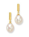 Glow Gold Earrings with pearl 206.5055.00