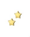 House Collection Ear Studs Star Yellow Gold Shiny 4 mm x 4 mm