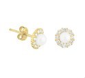 Home Collection Ear Studs Pearl And Zirconia Shiny Yellow Gold