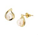 House Collection Ear Studs Pearl Yellow Gold Shiny 9 mm x 7 mm