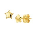House Collection Ear Studs Star Yellow Gold Shiny 4 mm x 4.5 mm