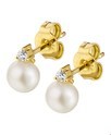House Collection Ear Studs Pearl And Diamond 0.05 Ct. Yellow Gold Shiny 8mm x 6mm