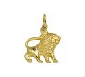 Home Collection Charm Zodiac Sign Leo Gold