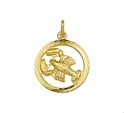 Huiscollectie 4018376 Goudkleurig necklace with pendant