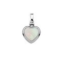 Huiscollectie 1320061 Zilverkleurig necklace with pendant