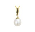 House Collection Pendant Yellow Gold Pearl And Zirconia 14 X 8.5 Mm