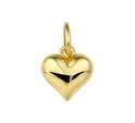 Huiscollectie 4009746 Goudkleurig necklace with pendant