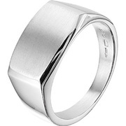 House collection 1015260 Ring Poli/mat Silver