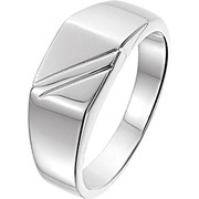 House collection Ring Poli/mat Silver