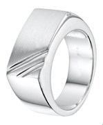 House collection Ring Poli/mat Silver