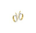 House collection Folding creoles Zirconia Bicolor Gold Shiny