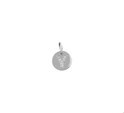 Home Collection Charm Letter Y Zirconia Silver