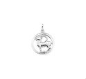Huiscollectie 1323546 [kleur_algemeen:name] necklace with pendant