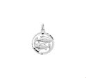 Home Collection Charm Zodiac Sign Pisces Diamond Cut Silver