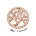 Quoins Disk QMOA-59S-R Three of Wonder steel rose colored (S)