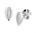 TFT Ear Studs Feather Silver Rhodium Plated Shiny 7.5 mm x 4.5 mm
