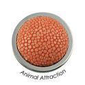 Quoins disk Animal Attraction red small QMOT-02-RDS