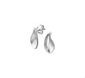 TFT Ear Studs Scratched Silver Rhodium Plated Shiny 14.5 mm x 7.5 mm
