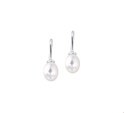 TFT Earrings French Hook Pearl Silver Rhodium Plated Shiny