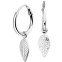 TFT Creoles Feather Silver Rhodium Plated Shiny