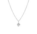 Huiscollectie 4105051 [kleur_algemeen:name] necklace with pendant