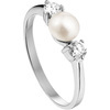 huiscollectie-1314900-ring 1