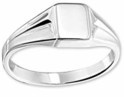 House Collection Engraving Ring Solid Silver