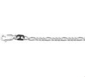 House Collection Anklet Figaro 2.4 Mm 24 - 26 Cm Silver
