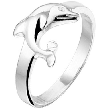 huiscollectie-1016543-ring