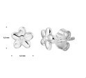 TFT Ear Studs Flower Zirconia Silver Rhodium Plated Shiny 5.5 mm x 5.5 mm