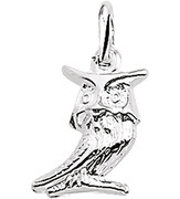 House collection silver Charm Owl