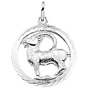 Huiscollectie 1002755 Zilverkleurig necklace with pendant