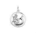 House Collection Pendant Silver Zodiac Sign Aquarius Diamonded