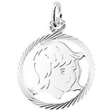 Huiscollectie 1005223 Zilverkleurig necklace with pendant