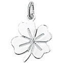 Huiscollectie 1005380 Zilverkleurig necklace with pendant