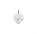 Huiscollectie 1323248 Zilverkleurig necklace with pendant