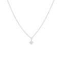 Huiscollectie 1332759 [kleur_algemeen:name] necklace with pendant