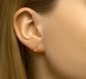 TFT Ear Studs Yellow Gold Shiny 7 mm x 4 mm