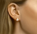 TFT Ear Studs Pearl Yellow Gold Shiny 11.2 mm x 7.5 mm