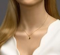 Huiscollectie 4022894 [kleur_algemeen:name] necklace with pendant