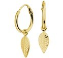 TFT Hoop Earrings Feather Yellow Gold On Silver Shiny 1.5 mm x 12 mm